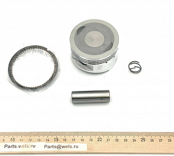 Поршень в сборе, 1p63QML, D62mm (WW0108)