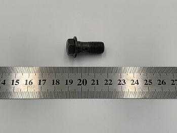Болт банджо (болт-фитинг тормозной системы) М10х1.25 WELS EVO125 
