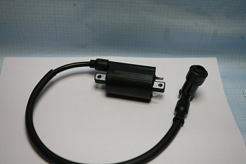 ATV 300 Катушка зажигания (3705100-A30)