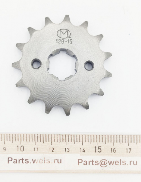 116300101076501
