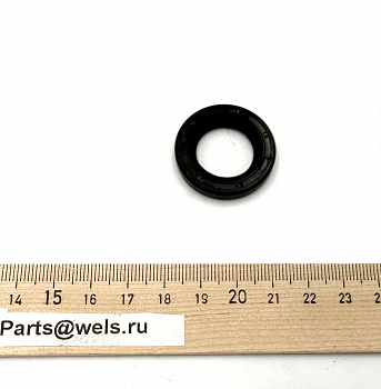 Сальник 19х30х5 WELS EVO125 N1 (259448002001)