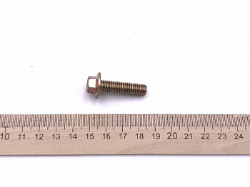 Болт M8*30 WELS EVOX200 (401001053002) 
