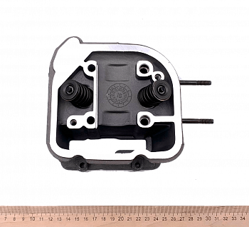 Головка цилиндра в сборе, 161QMK (61мм) ATV200 (250422) (WW1142)